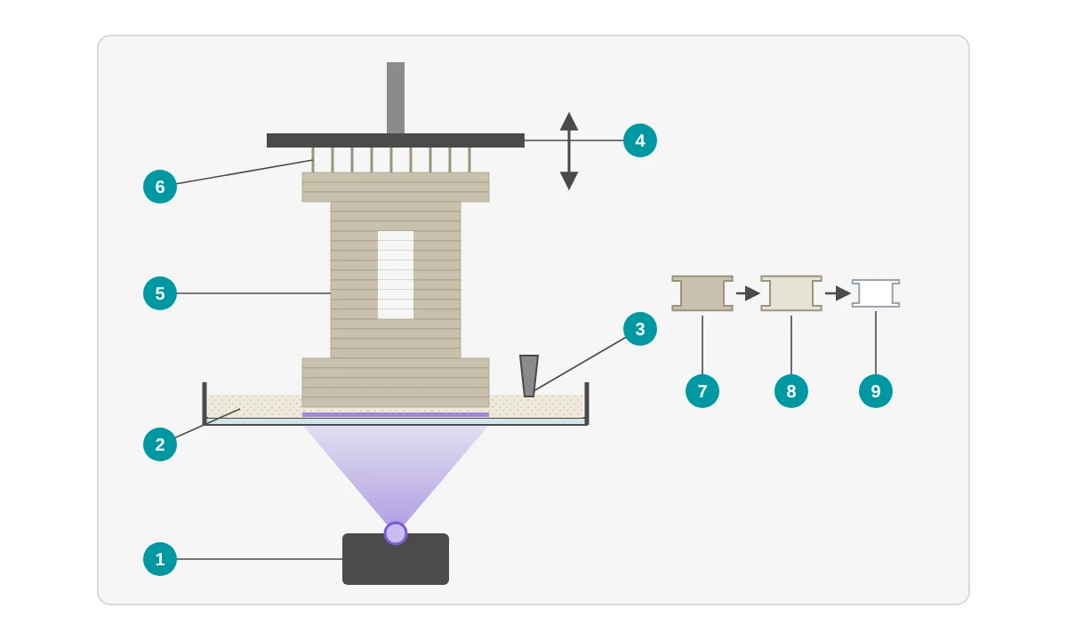 Rappresentazione schematica del processo LCM: un proiettore espone dal basso attraverso una vasca con sospensione ceramica, una racla distribuisce la sospensione, il pezzo verde è appeso con strutture di supporto a una piattaforma di costruzione sollevabile; a destra le fasi pezzo verde, deceraggio e sinterizzazione